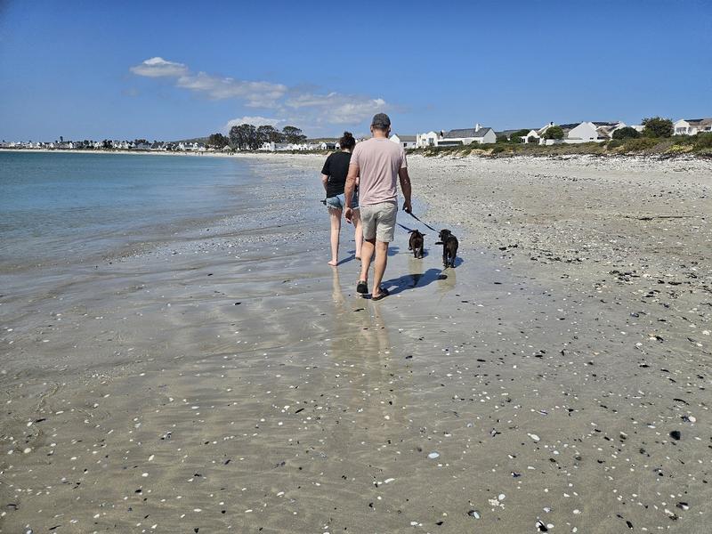 0 Bedroom Property for Sale in Steenbergs Cove Western Cape